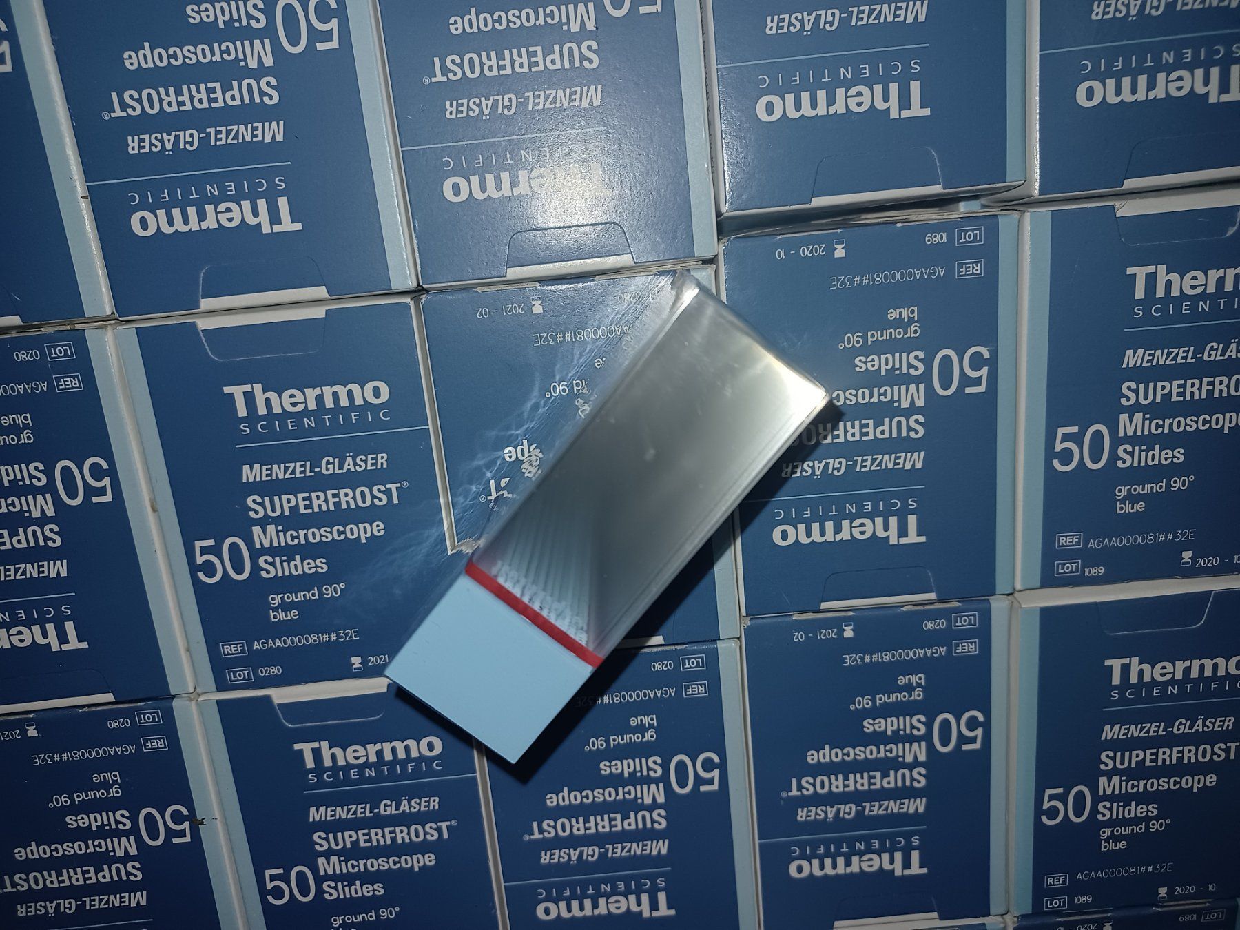 3 Pakete Objektträger Microscop Slides Thermo Scientific